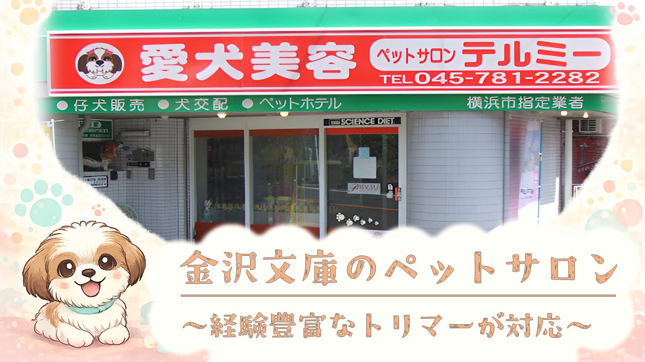 お知らせ画像3